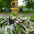 halloween-2012-10-1.JPG