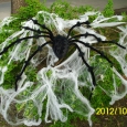 halloween-2012-23-1.JPG